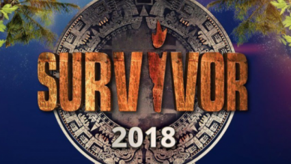 Survivor 2018 All Star Voluntários e Celebridades New Team Squad ...