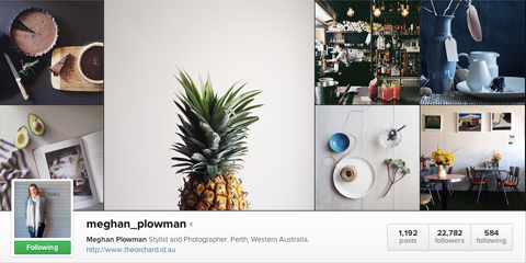 perfil do Instagram do meghan plowman