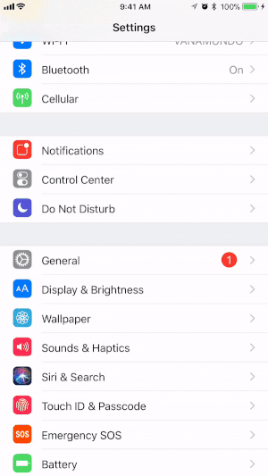 Adicione o recurso de gravação de tela ao Centro de controle do seu dispositivo iOS.