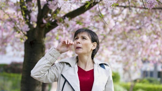 O que é uma alergia de primavera? Quais são os sintomas da alergia na primavera? Como se proteger da alergia da primavera?