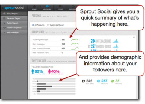 Dados demográficos do resumo social do Sprout