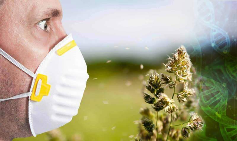 aumento da alergia ao pólen