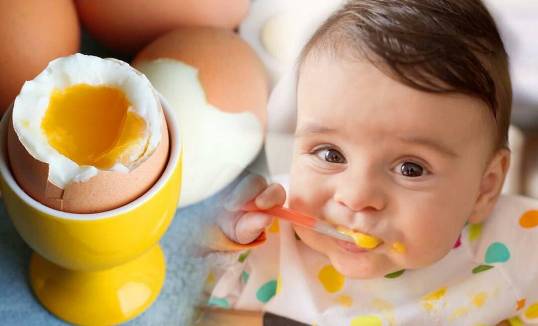 Que consistência são os ovos dados aos bebês? Como ferver ovos para bebês?