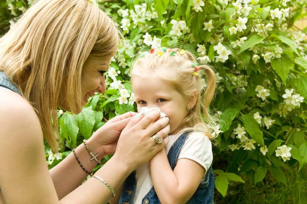 O que é bom para alergias sazonais em crianças?