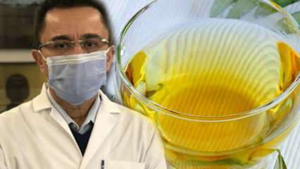 Chá milagroso contra o vírus: quais são os benefícios do chá de folha de oliva? Fazendo chá de folha de oliveira