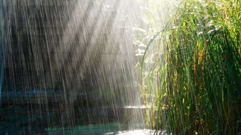 Orações para serem lidas para a água da chuva! A chuva de abril está sarando? Benefícios da chuva de abril