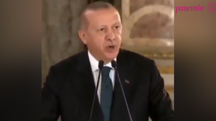 Presidente Erdoğan: Os artistas que colocaram seu lado político na polêmica nos perturbaram
