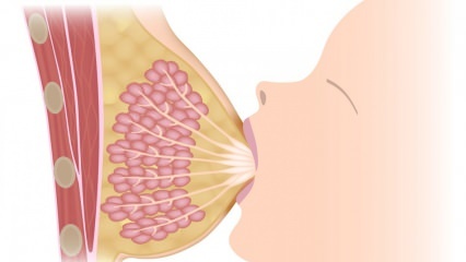 O que é mastite (inflamação da mama)? Sintomas e tratamento da mastite durante a amamentação