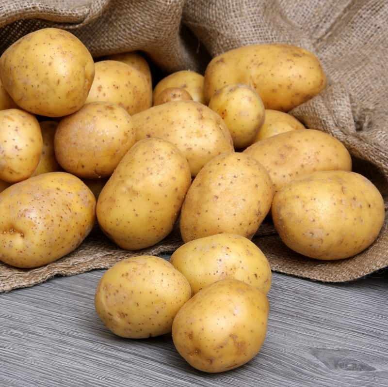 Qual é a diferença entre batatas comestíveis e batatas fritas