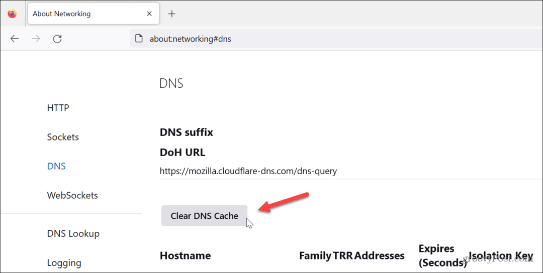 Limpar Cache DNS 