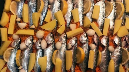 Como cozinhar anchova? A maneira mais fácil de cozinhar anchova! Receita de anchova assada
