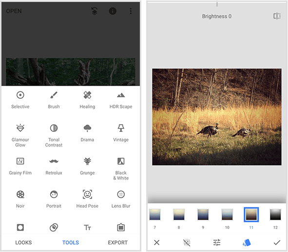 Um menu Snapseed à esquerda mostra 20 ferramentas diferentes, e um exemplo de filtro Snapseed à direita mostra um foto de dois perus selvagens andando na grama dourada e um menu de filtros na parte inferior da tela do celular.