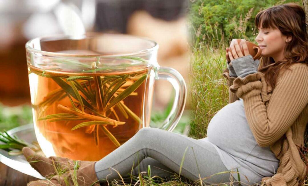 As mulheres grávidas podem beber chá de inverno? Qual chá deve ser bebido durante a gravidez? chás de inverno para grávidas
