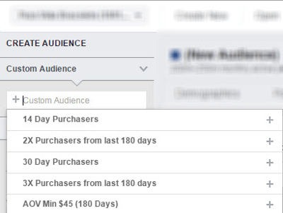 Analise seu público personalizado escolhido no Facebook Audience Insights.