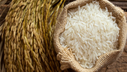 Como o melhor do arroz é entendido? 
