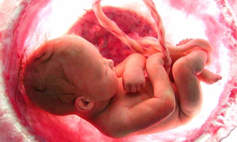 Nascimento de um bebê no útero