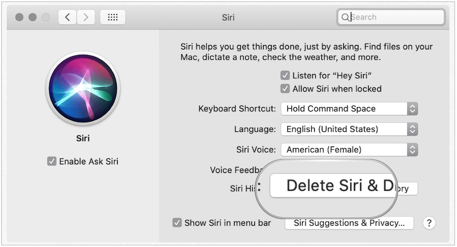 Excluir histórico Siri no Mac