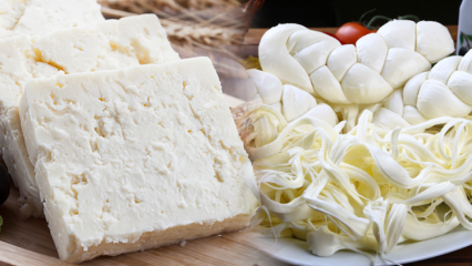 Como entender um bom queijo? Dicas para escolher queijos