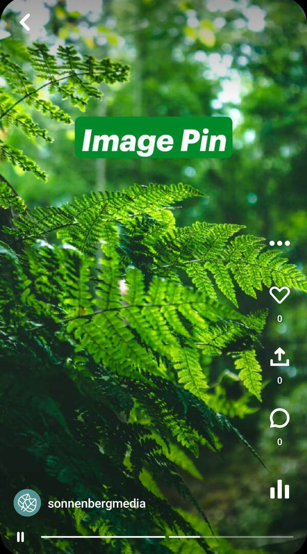 quais são-pinterest-idea-pins-sonnenbergmedia-image-pin-example-2
