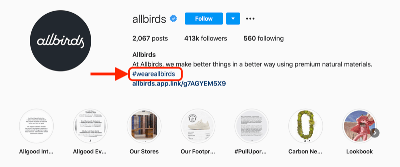 exemplo de uma hashtag de empresa incluída na descrição do perfil da conta @allbirds instagram