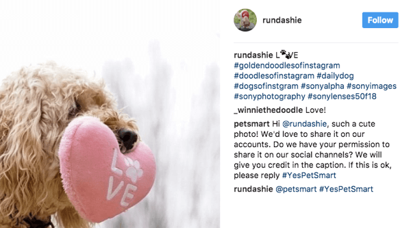 PetSmart examina uma variedade de hashtags relacionadas a animais de estimação e pede aos fãs permissão para usar imagens relevantes em seu marketing.