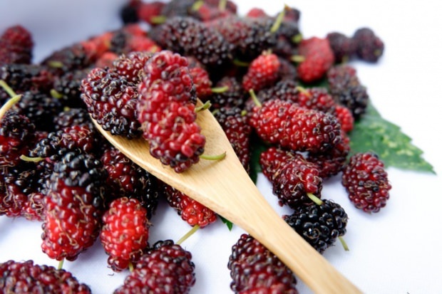 Como entender berry natural? Como escolher uma boa baga?