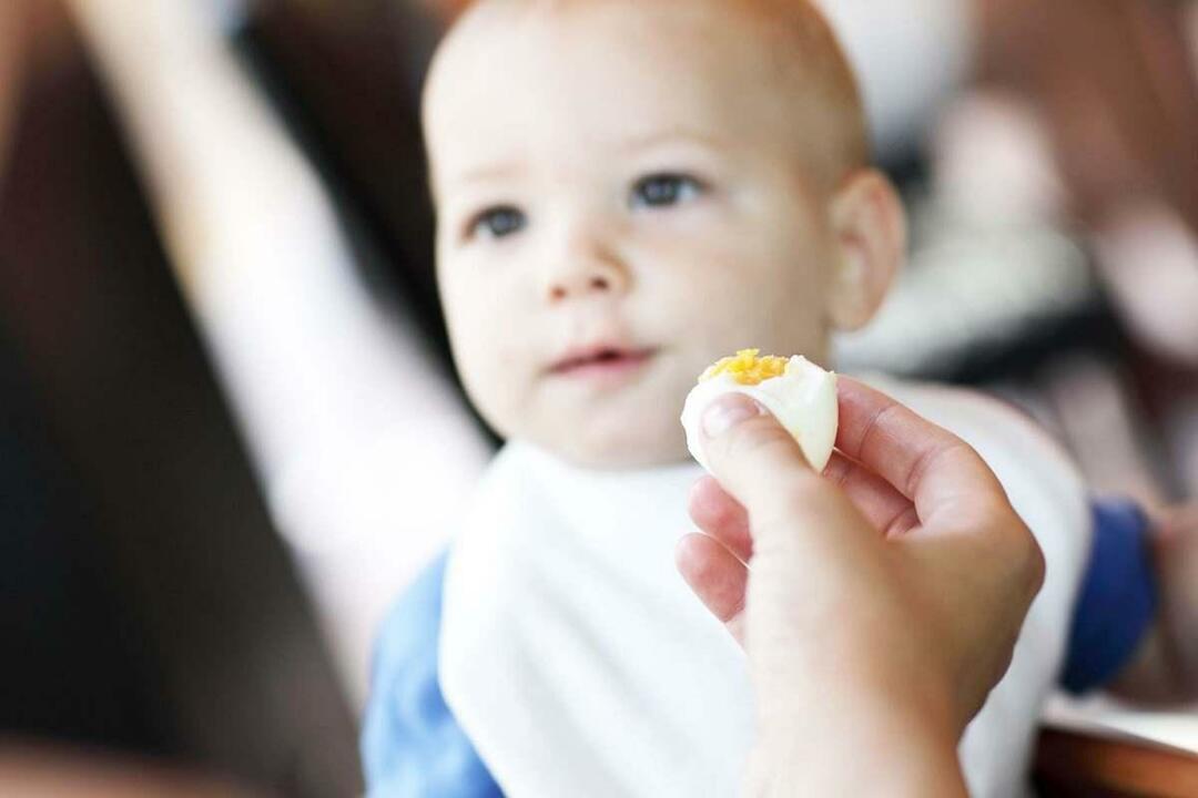 bebê comendo ovo