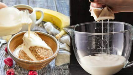 Como fazer leite de aveia em casa? Fabricação prática de leite de aveia