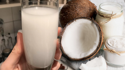 O que a água de coco faz? Quais são os benefícios do coco?