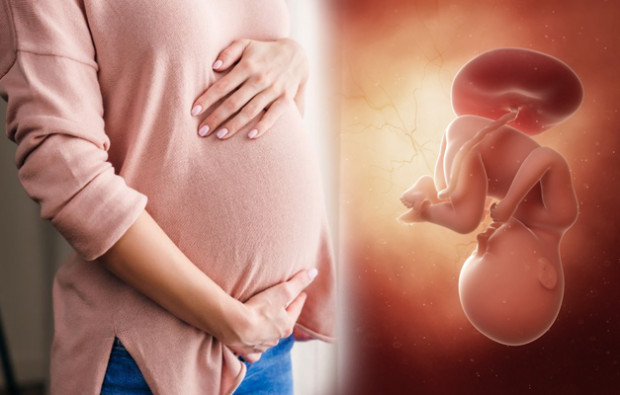 Quais são os sintomas da gravidez? Sintomas da gravidez precoce