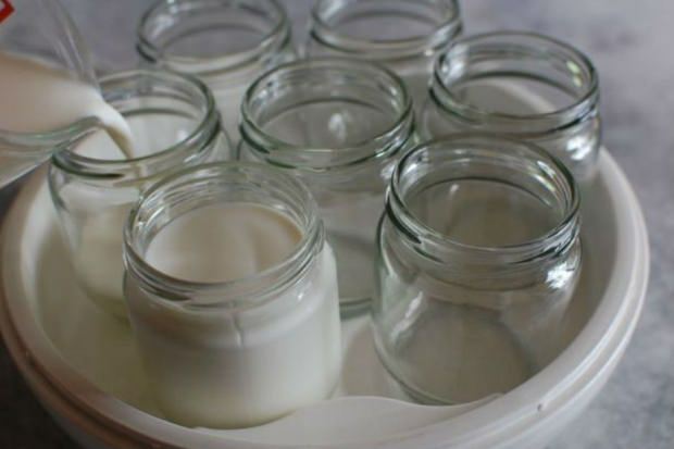 iogurte do leite da aldeia