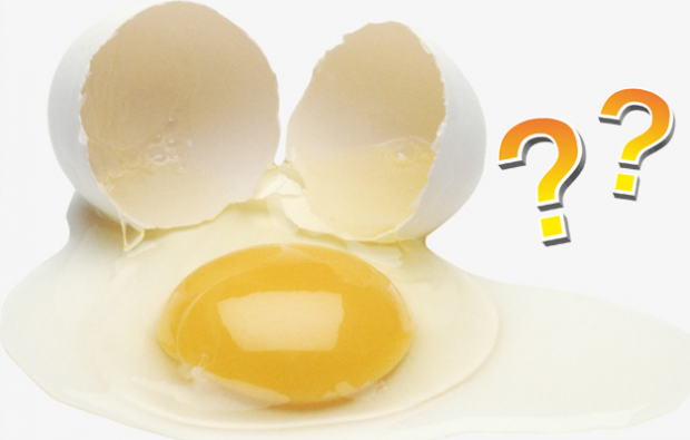 Se a gema do ovo ou o branco são benéficos