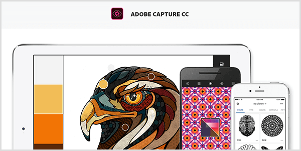 O Adobe Capture cria uma paleta a partir de uma imagem capturada com um dispositivo móvel. O site mostra uma ilustração de um pássaro e uma paleta criada a partir da ilustração, que inclui cinza claro, amarelo, laranja e marrom avermelhado.