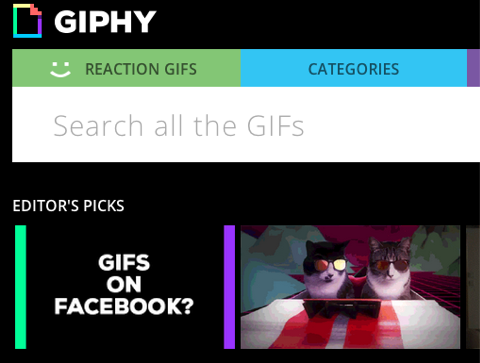 giphy no facebook