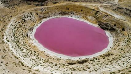 A cor do Lago Meyil Obruk ficou rosa!