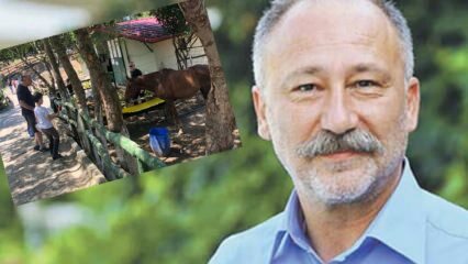 Altan Erkekli foi visto na fazenda de cavalos Sarıyer com seu filho!