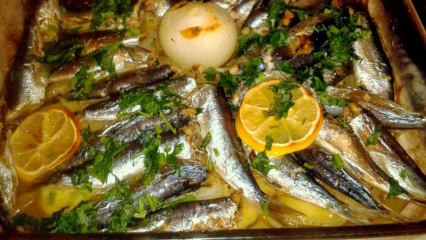 Como cozinhar o peixe sardinha? Receita de sardinha mais fácil