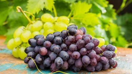 O que acontece se você comer uma tigela de uvas por dia?