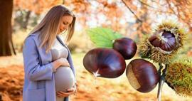 As mulheres grávidas podem comer castanhas? Benefícios de comer castanhas durante a gravidez para o bebê e para a mãe