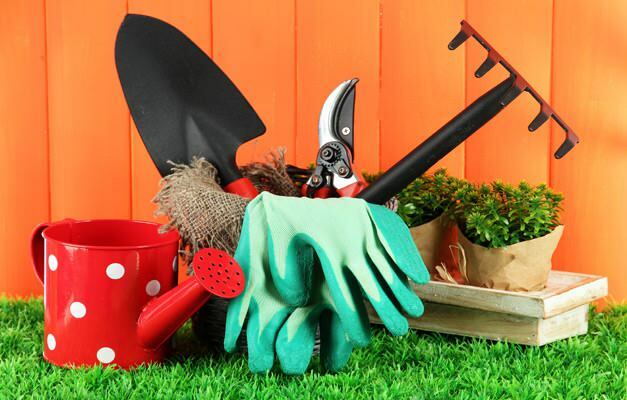como limpar o jardim