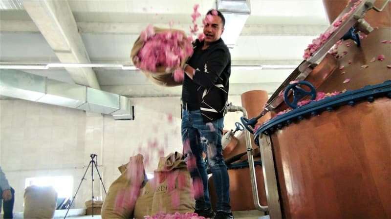 Berdan Mardini estabeleceu uma fábrica de óleo de rosas em sua cidade natal!