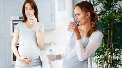 Benefícios da água potável para mulheres grávidas! Quanta água deve ser consumida por dia durante a gravidez? 