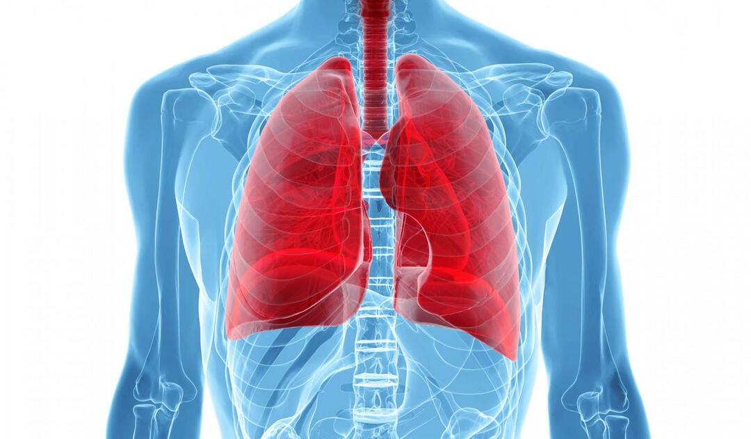 O que é a Síndrome do Pulmão Branco e quais são seus sintomas? Qual é o tratamento para a Síndrome do Pulmão Branco?