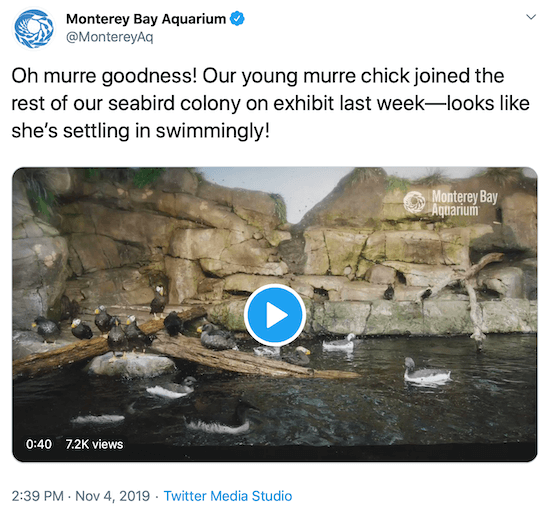tweet do Monterey Bay Aquarium como um exemplo da voz de uma marca na mídia social