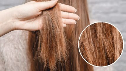 O que fazer com o cabelo queimado de um orya? Como cuidar do cabelo tratado?