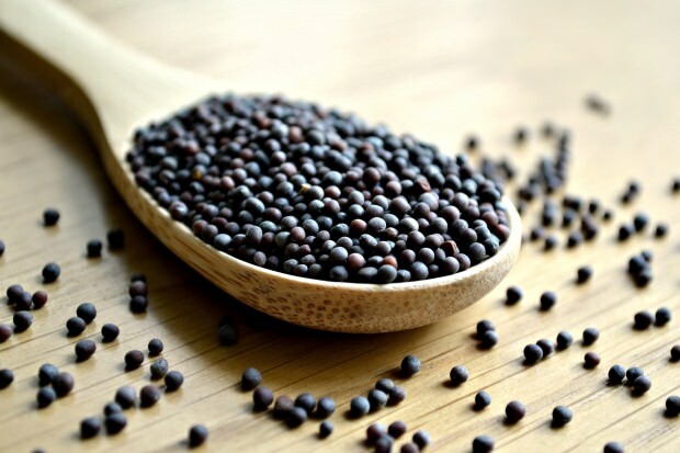 sementes de mostarda preta