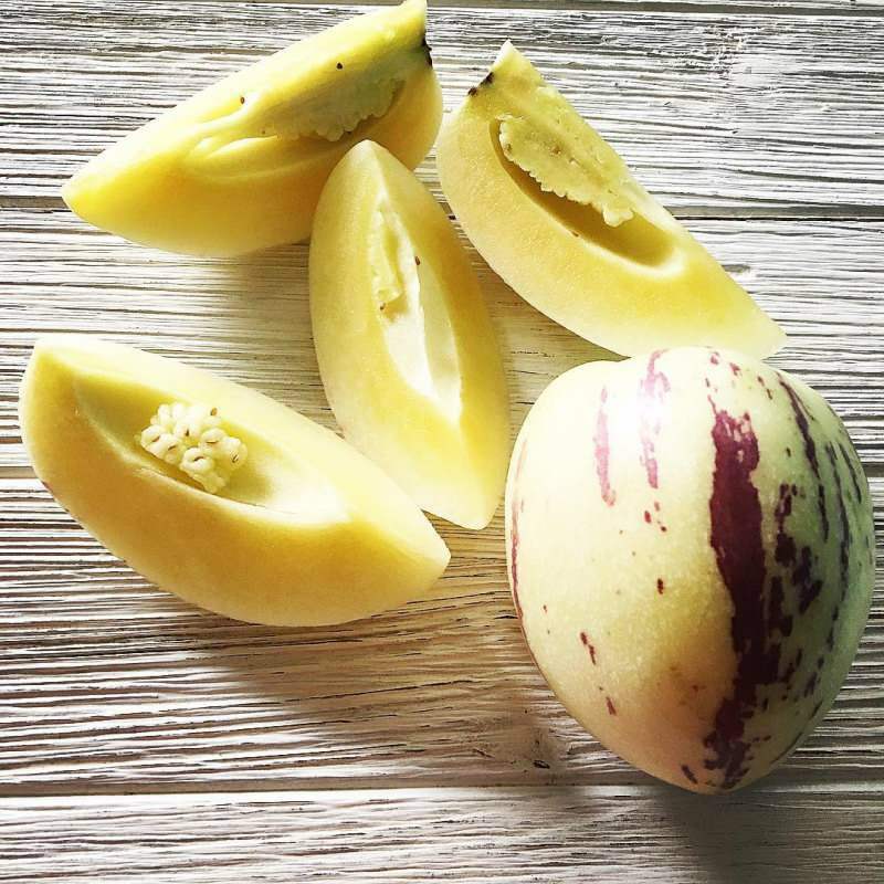 Quais são os benefícios da fruta pepino? Existe um consumo e perda de frutas Pepino