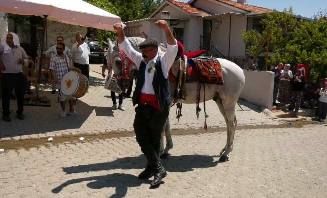 O cavalo brincando com seu dono virou assunto nas redes sociais!