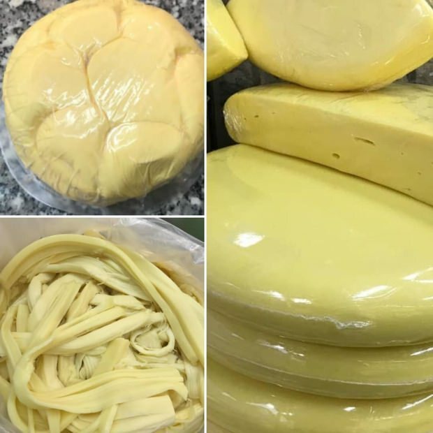 como fazer queijo