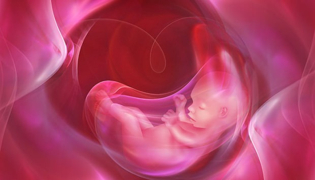 O que é a placenta prévia? Como cuidar do cordão umbilical em bebês? Se o cordão umbilical for longo ...